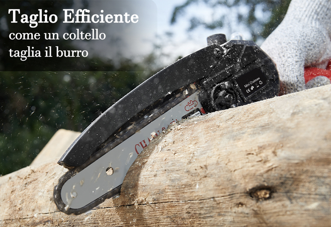 Mini-motosega-a-batteria-legno.jpg