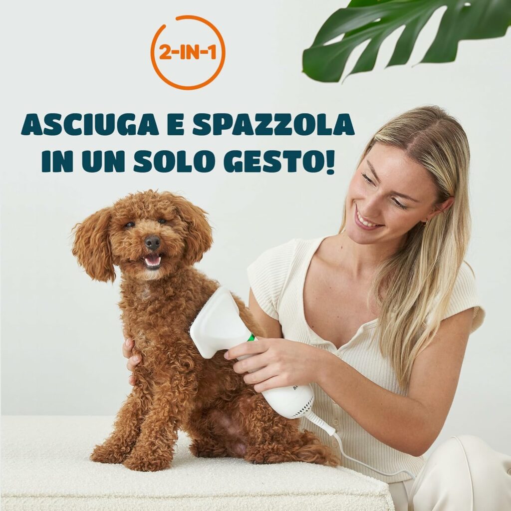 spazzola-asciugacapelli