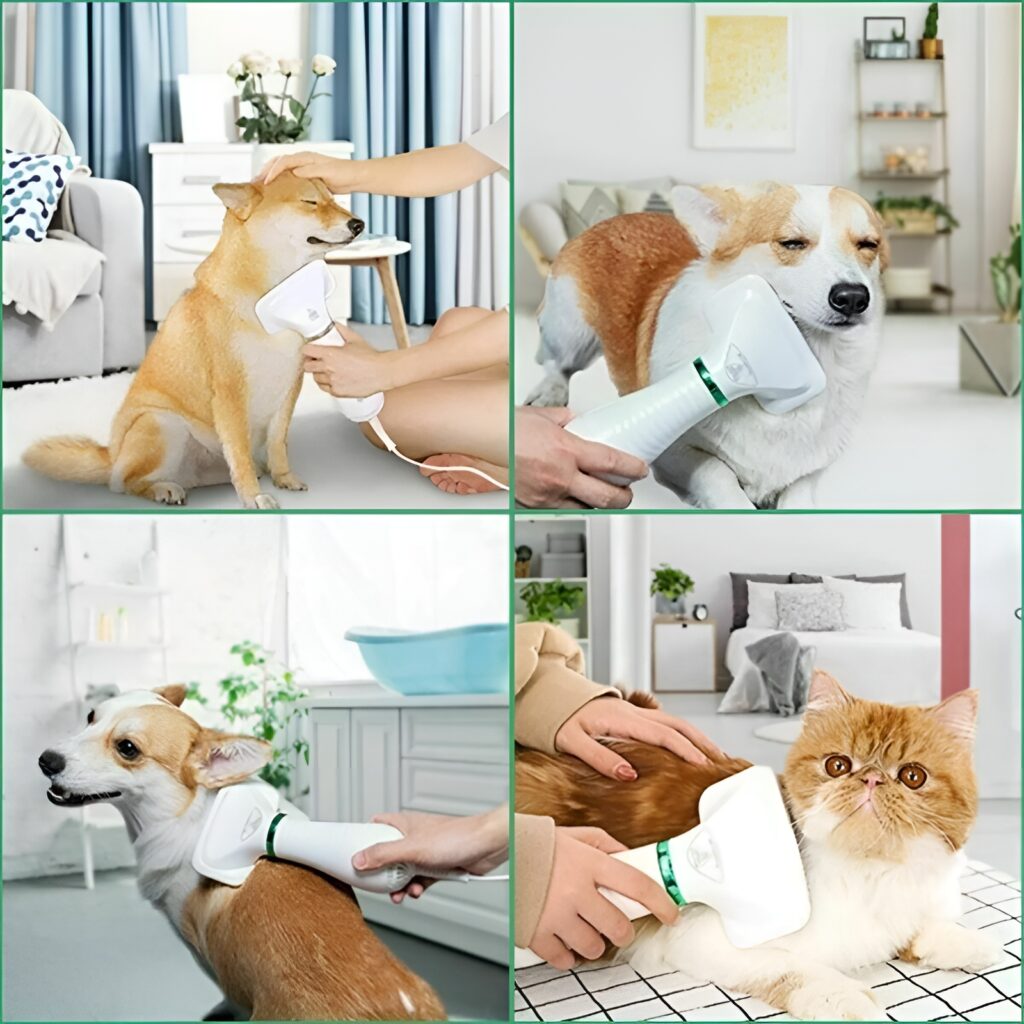 spazzola-pelo-cane